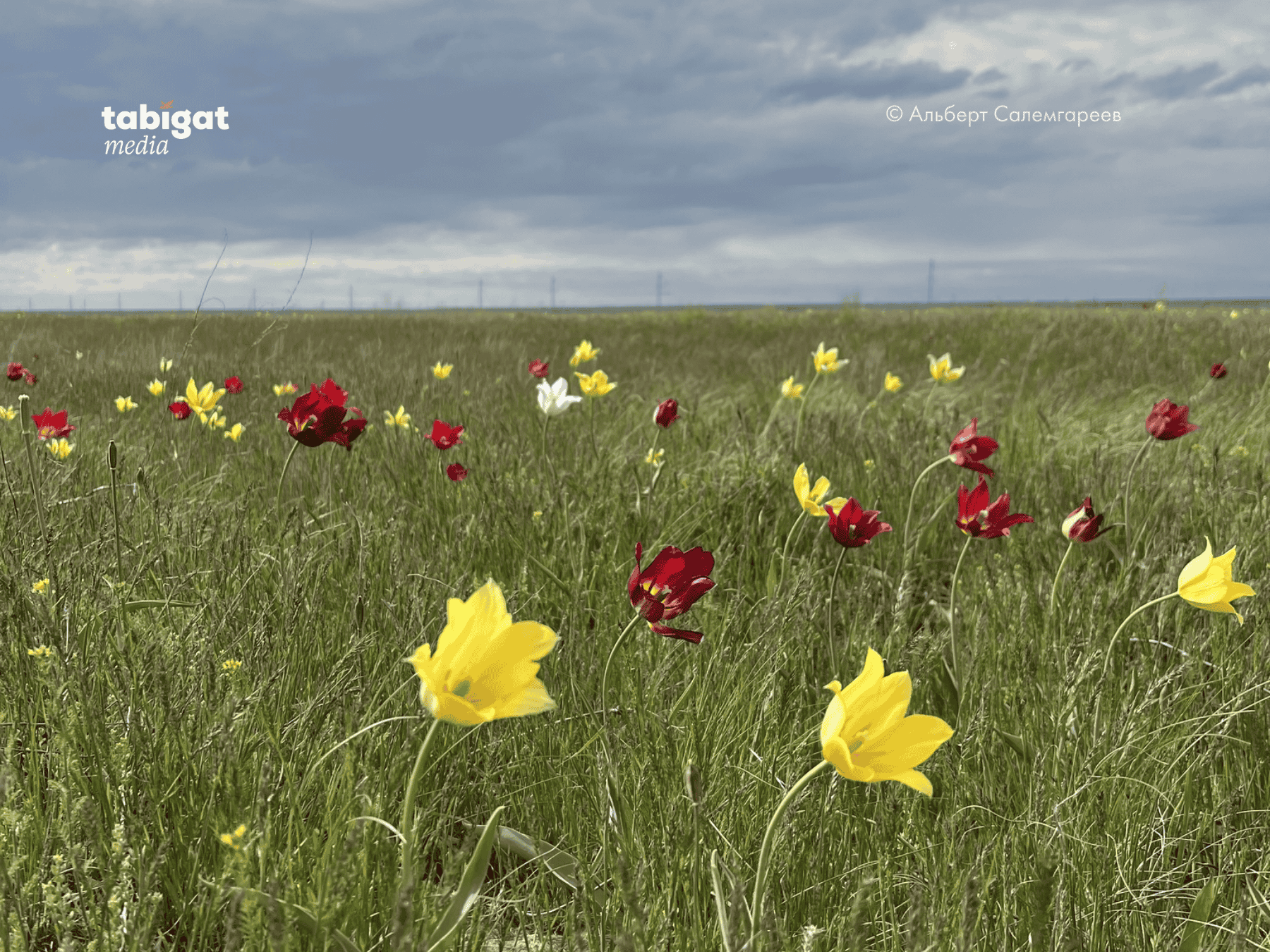 Тәжірибелі адамдармен порно көру